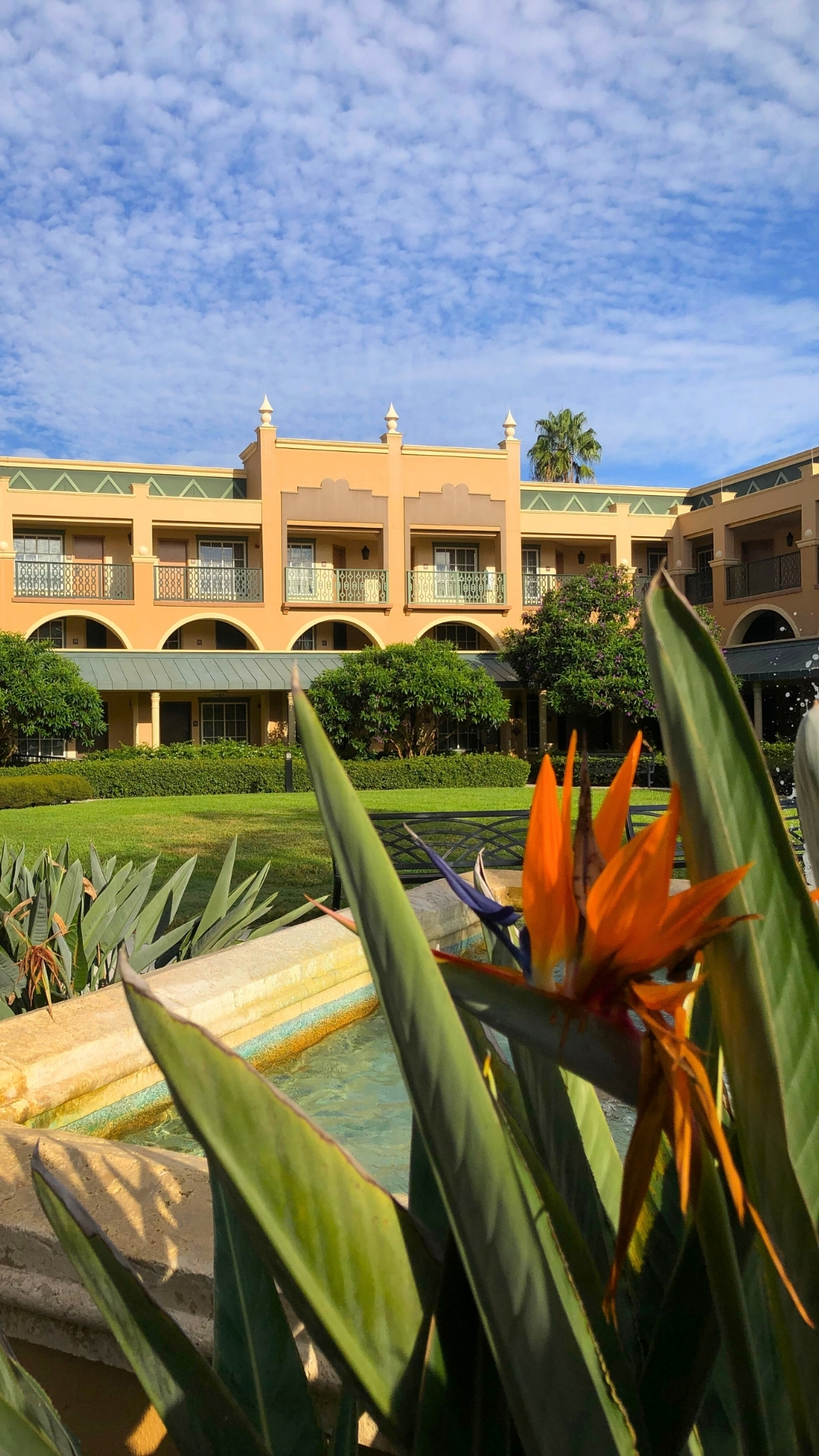 Disney's Coronado Springs