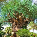 Tree of Life - Disney's Animal Kingdom Park