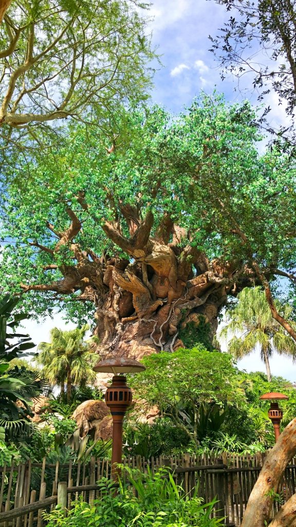Tree of Life - Disney's Animal Kingdom Park