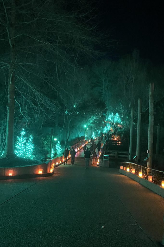Christmas Town Busch Gardens Williamsburg